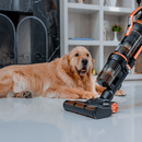 Zyntec Magic Pro 3 em 1 – Aspirador Vertical Sem Fio